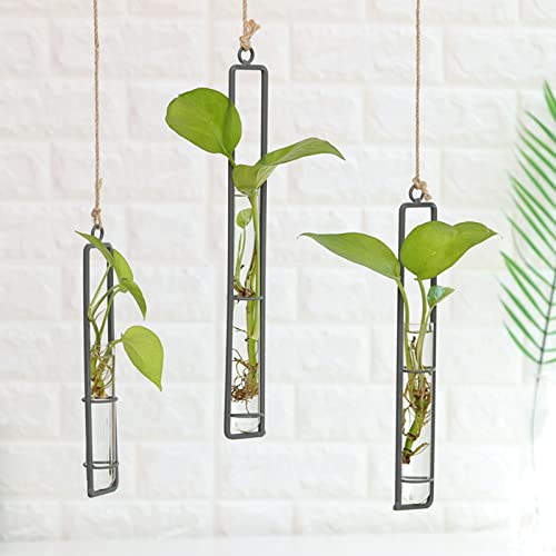 AQRICHFOX 3 Pieces Hanging Glass Hydroponic Planter Transparent Test Tube Plant Vase Terrarium Container for Indoor Outdoor Modern Home Decoration (Black) - Image 5