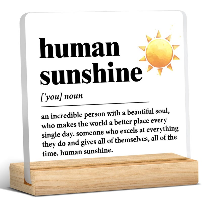 Human Sunshine Motivational Gift for Women Men Employee Appreciation Coworker Leader Teacher Coach Mentor Definition Acrylic Desk Sign Decor