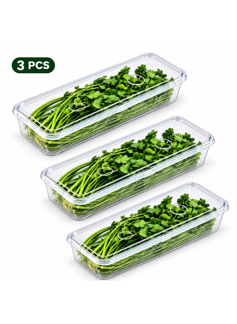 LDQ 3PCS Long Rectangular Food Storage Containers – Reusable Plastic Fridge Organizer Boxes for Scallions, Parsley, Cilantro, Garlic, Noodles & Eggs with Lid – Hand-Washable Kitchen Essentials - Image 1