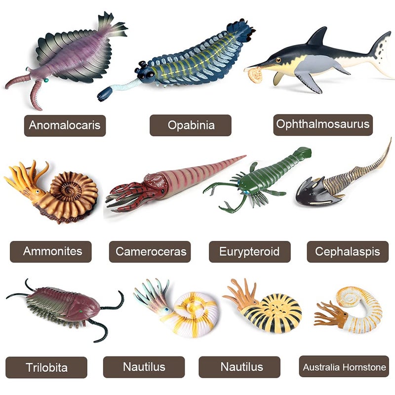 RCOMG 11PCS Prehistoric Sea Creatures Toys Ancient Cambrian Ocean Animal Figurines Plastic Educational Marine Animal Figures for Cake Topper School Project Learning Toy - Image 3