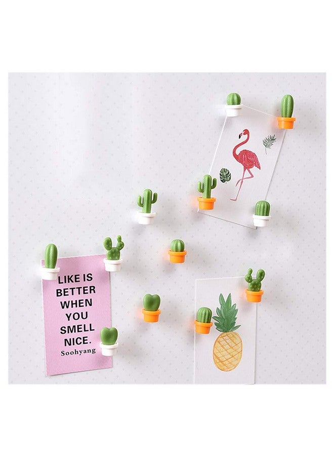 TabEnter Decorative Refrigerator Magnets, Perfect Fridge Magnets for House Office Personal Use (12Pcs Cactus) - Image 2
