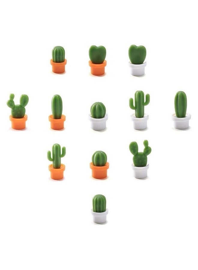 TabEnter Decorative Refrigerator Magnets, Perfect Fridge Magnets for House Office Personal Use (12Pcs Cactus) - Image 1