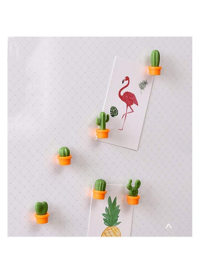 TabEnter Decorative Refrigerator Magnets, Perfect Fridge Magnets for House Office Personal Use (12Pcs Cactus) - Image 3