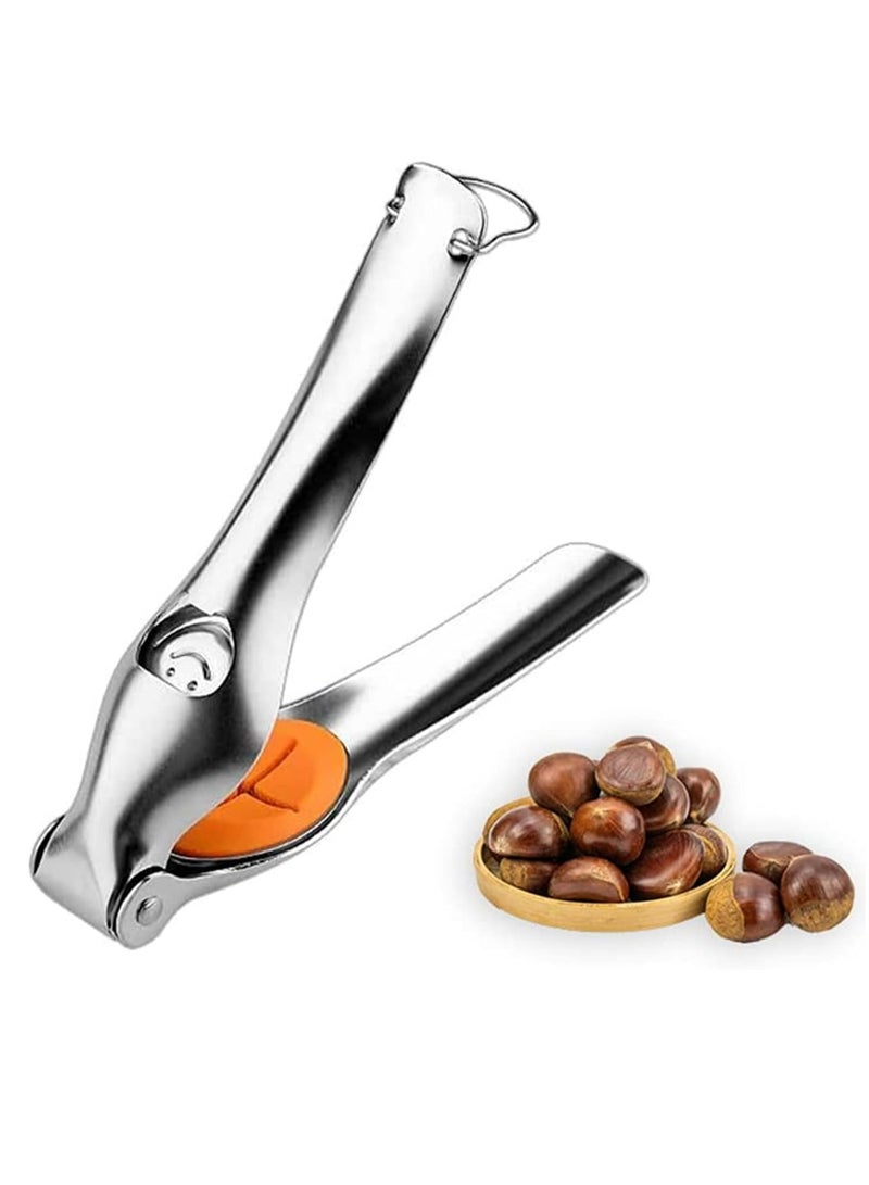 Oasisgalore Stainless Steel Chestnut Cutter Chestnut Peeler，Chestnut Quick Opener Cracker Tool with Bottle Opener - Image 1