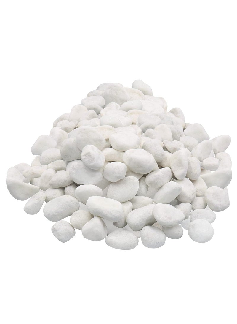Home zone Unpolished White Pebbles 10 Lb (4.5 KG) - 1 inch Pebbles for Plants Gardens Gravel Décor Landscaping Succulent Terrarium 100% Natural Stone Pebbles Decorative Rocks Matte White Finish  - Image 4