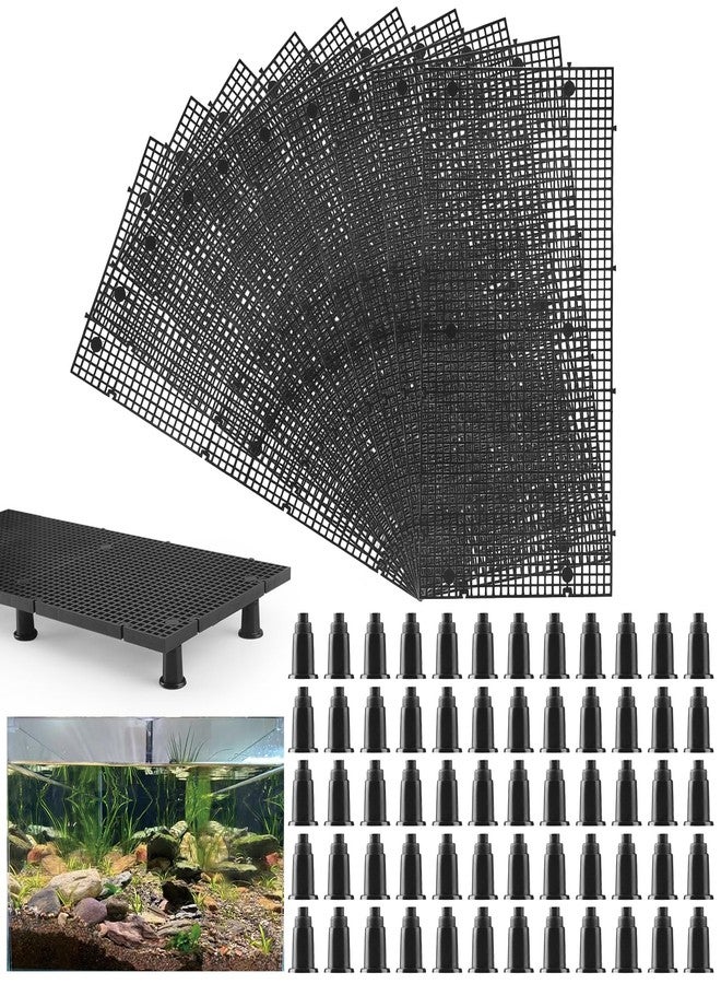 Weramics 10pcs Plastic Egg Crate Grip Bottom Fish Tank Isolation Board Egg Crate Tray Panel Fish Tank Divider 60pcs Aquarium Board Support Kits - Image 1