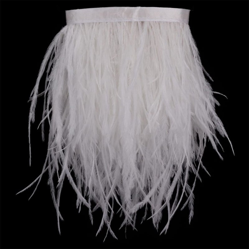 AMZTKDIY AMZTKDIY Ostrich Feathers Sewing Fringe Trim Ribbon for Crafts Clothes Accessories Latin Wedding Dress DIY 2 Yards 46inch Width 2 Yards White 