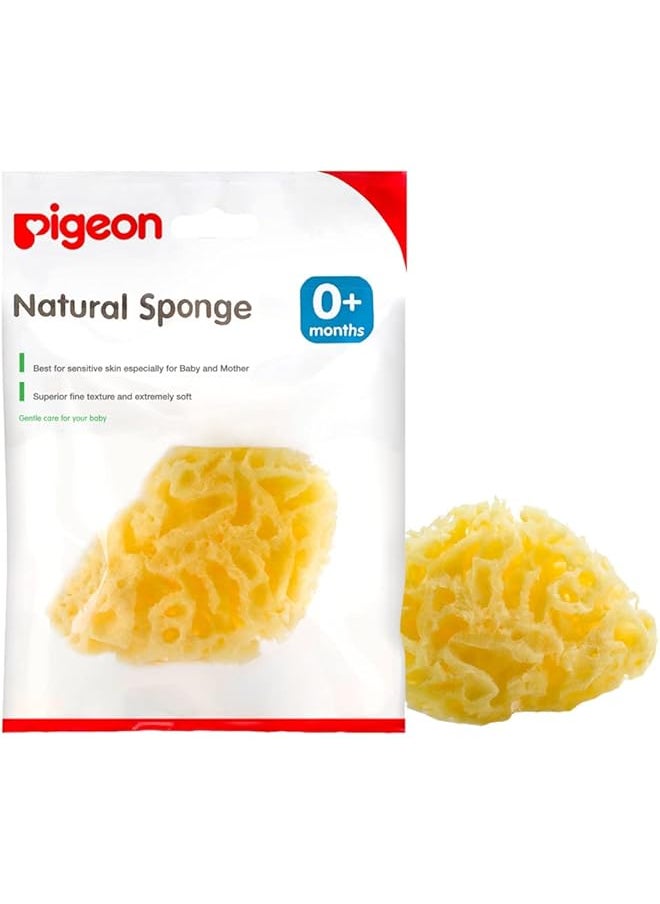 erorex Pigeon Large Natural Sponge 10815  - Image 1