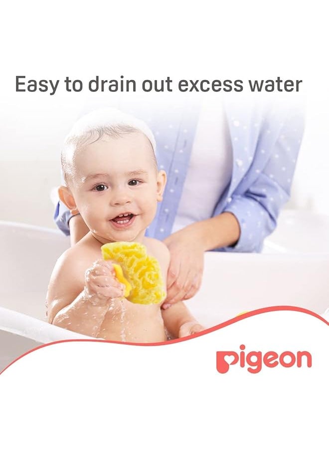 erorex Pigeon Large Natural Sponge 10815  - Image 3