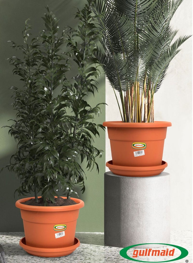 جلفمايد ركانة زرع دائرية مع القاعدة - Image 1