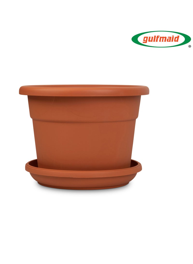 جلفمايد ركانة زرع دائرية مع القاعدة - Image 2