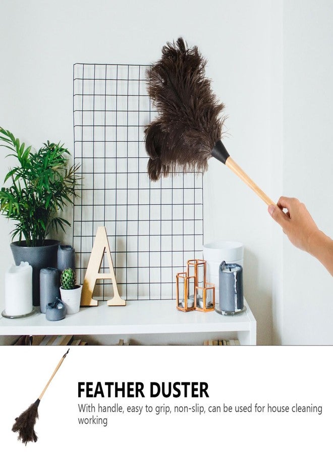Healeved 22.63 Inch Long Handle Ostrich Duster Soft Black Natural Household Dust Cleaning Tool for Appliances and Furniture - Image 3