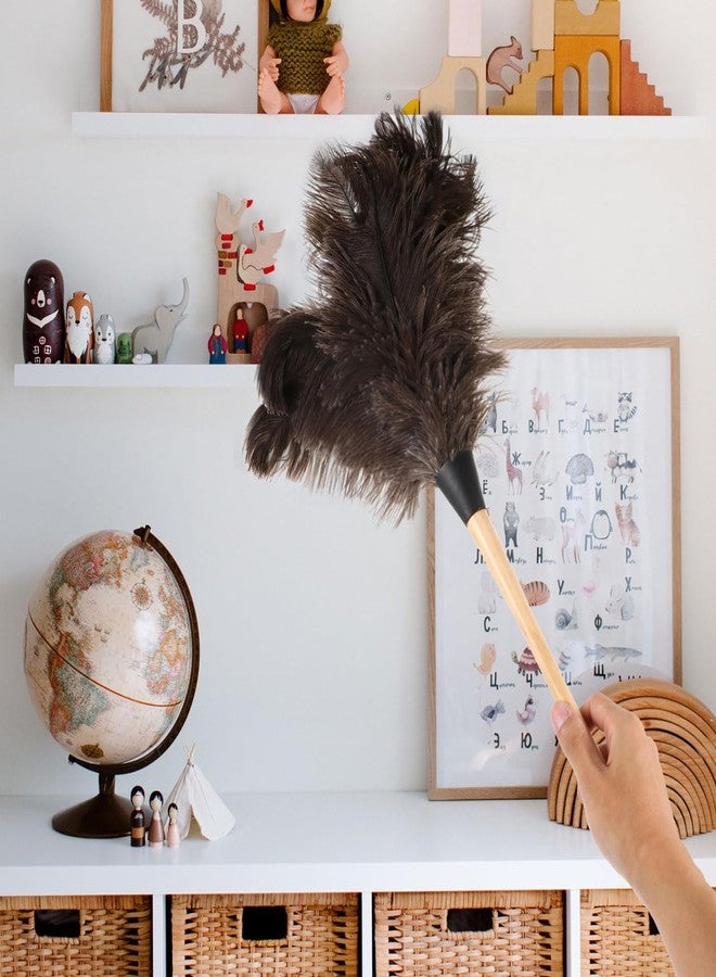 Healeved 22.63 Inch Long Handle Ostrich Duster Soft Black Natural Household Dust Cleaning Tool for Appliances and Furniture - Image 2