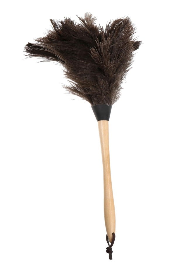 Healeved 22.63 Inch Long Handle Ostrich Duster Soft Black Natural Household Dust Cleaning Tool for Appliances and Furniture - Image 1