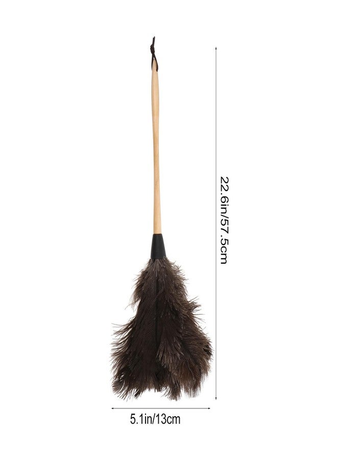 Healeved 22.63 Inch Long Handle Ostrich Duster Soft Black Natural Household Dust Cleaning Tool for Appliances and Furniture - Image 4