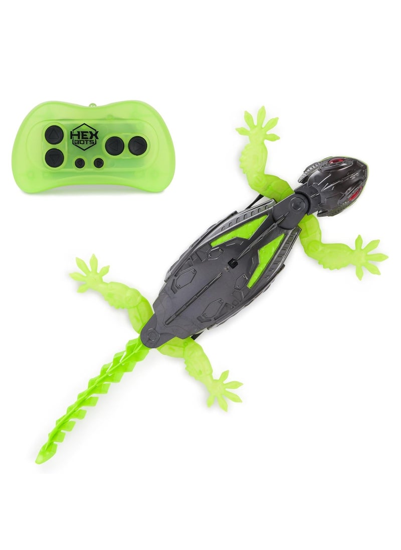 Generic - Hex Bots Wall Crawler Gecko - Image 1