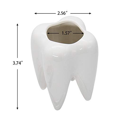 YOFIT Modern Style Teeth Pots Ceramic Flower Pot for Dental Gifts, White Succulent Cactus Bonsai Planter Container for Dental Office Decor, 3.7" Set of 4 - Image 4