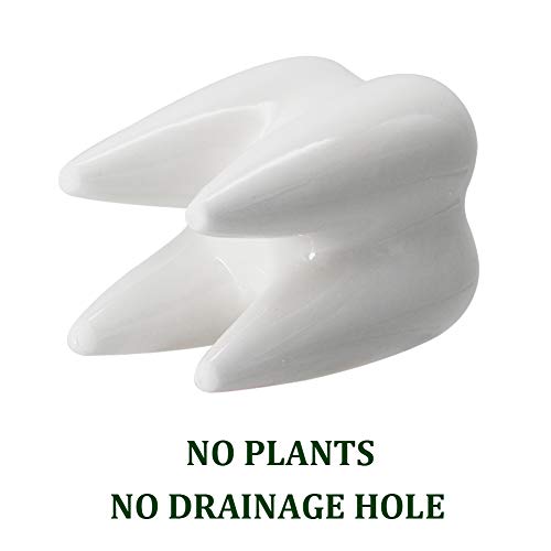 YOFIT Modern Style Teeth Pots Ceramic Flower Pot for Dental Gifts, White Succulent Cactus Bonsai Planter Container for Dental Office Decor, 3.7" Set of 4 - Image 3