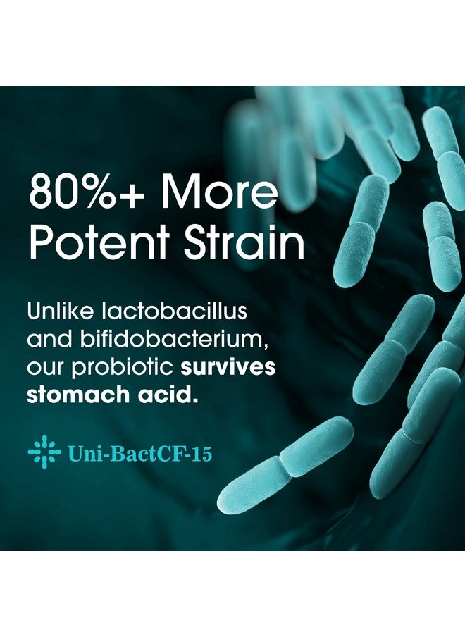 Nutrition Essentials - ?????? Probiotics For Women And Men With Prebiotic Fiber And Natural Lactase Enzyme For Digestive Health 62% More Stable Probiotic For Gut Health Support Usa Made Vegan Formula Blend - Image 1