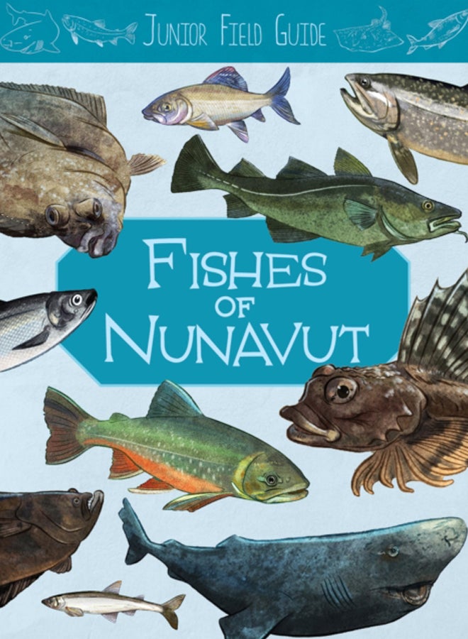 Junior Field Guide: Fishes of Nunavut : English Edition