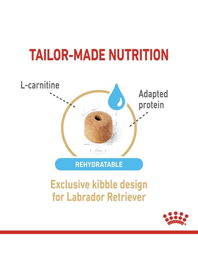 Royal Canin Dog Labrador Dry Retriever 5+ Adult, 3000 G - Image 3