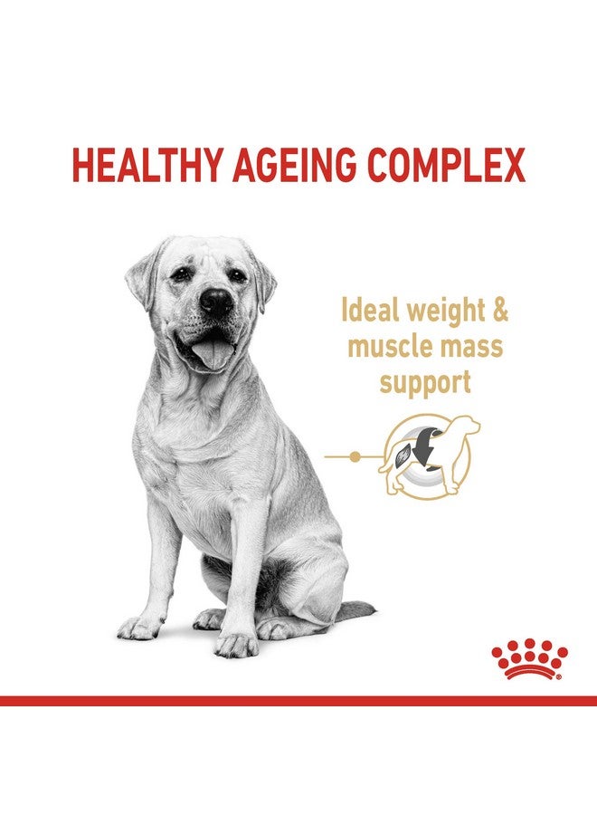 Royal Canin Dog Labrador Dry Retriever 5+ Adult, 3000 G - Image 2