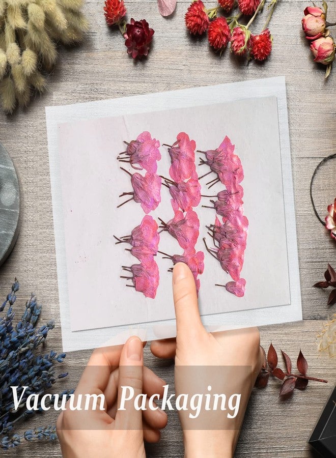 GSZN ٦٠ قطعة من زهور بذور اللفت الوردية المجففة للراتنج، زهور طبيعية حقيقية مضغوطة، زهور مجففة لصنع مجوهرات الراتنج، وزينة يدوية، وبطاقات، وشموع - Image 3