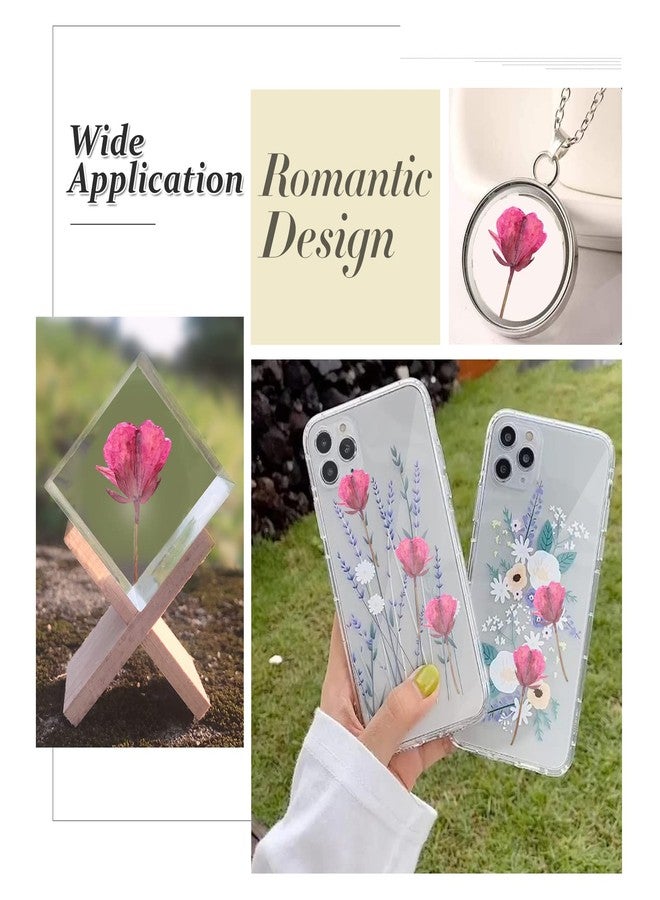 GSZN ٦٠ قطعة من زهور بذور اللفت الوردية المجففة للراتنج، زهور طبيعية حقيقية مضغوطة، زهور مجففة لصنع مجوهرات الراتنج، وزينة يدوية، وبطاقات، وشموع - Image 5