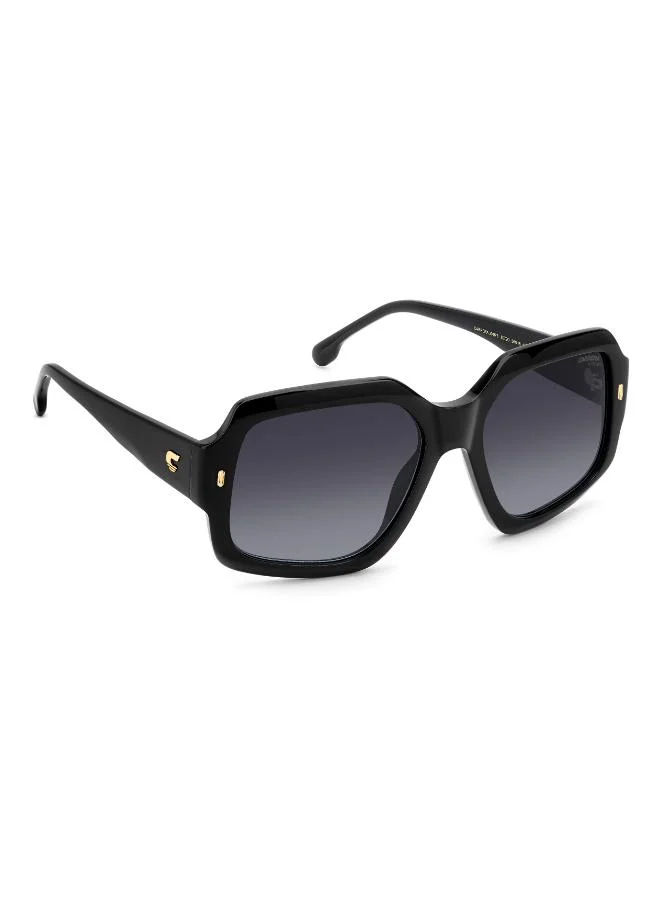 Carrera  Wayfarers Sunglasses for Women | Best Price UAE