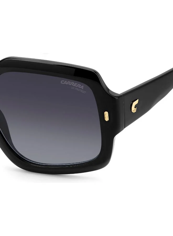 Carrera  Wayfarers Sunglasses for Women | Best Price UAE
