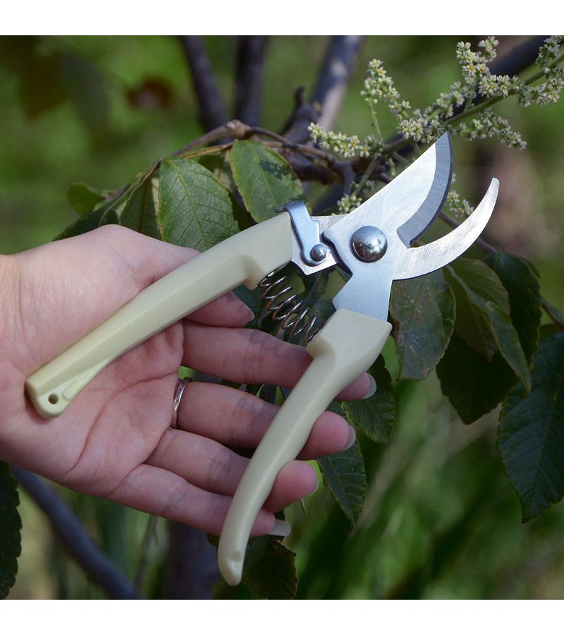 Dual Purpose Gardening Shear Set 2 Pack Straight And Curved Scissors For Cutting Flower Stems And Pruning Branches - Image 5