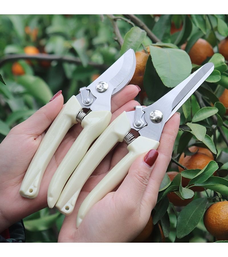 Dual Purpose Gardening Shear Set 2 Pack Straight And Curved Scissors For Cutting Flower Stems And Pruning Branches - Image 2