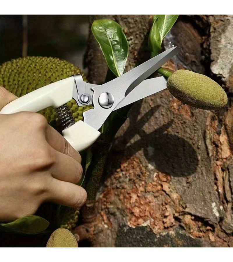 Dual Purpose Gardening Shear Set 2 Pack Straight And Curved Scissors For Cutting Flower Stems And Pruning Branches - Image 4