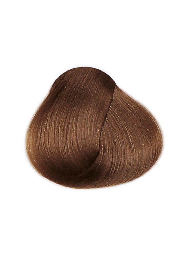 framesi FRAMCOLOR 2001 - كريم صبغ الشعر الدائم 60 مل | 6/W أشقر داكن إيروكو - Image 2