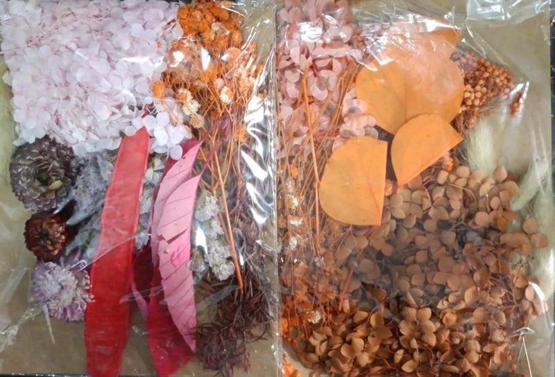 BRIGHTAIL INFRA Natural Real Dried Flowers for Art Craft Mixed and Multicolor for Soap, Candle, Scrapbook, DIY, Resin Jewellery, Pendant- [1 Random Pack] - Image 4