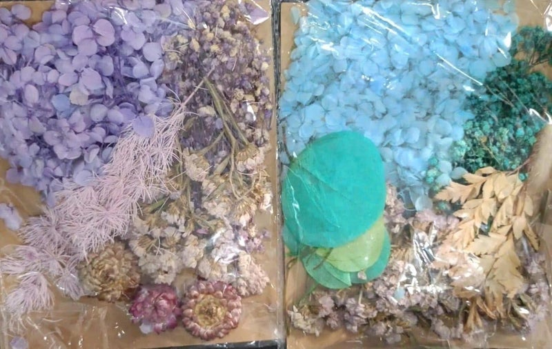 BRIGHTAIL INFRA Natural Real Dried Flowers for Art Craft Mixed and Multicolor for Soap, Candle, Scrapbook, DIY, Resin Jewellery, Pendant- [1 Random Pack] - Image 3