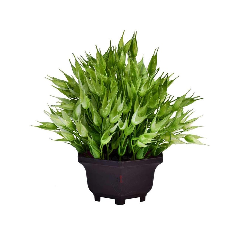 Art Street Art Street Artificial Flower Pot for Home Decoration Green Color Multi Head Artificial Plants with Pot Size 8 x 85 Inchs  - Image 2