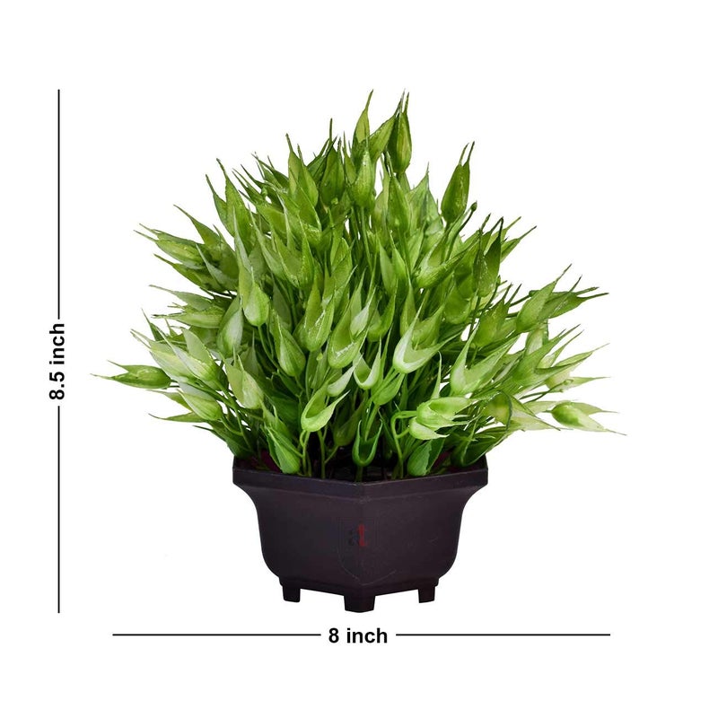 Art Street Art Street Artificial Flower Pot for Home Decoration Green Color Multi Head Artificial Plants with Pot Size 8 x 85 Inchs  - Image 4