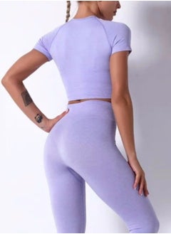 Seamless Yoga Fitness Set | High-Waist Gym Leggings & Purple Crop Top | Stylish Activewear for Gym, Yoga, and Fitness Workouts - pzsku/ZC6E7B3A310067AC57747Z/45/_/1638998386/8532053c-4e13-4561-83b3-ea58a511aa5c