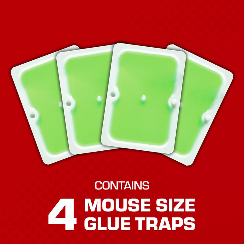 Tomcat Super Hold Glue Traps Mouse Size for Mice, Cockroaches, Spiders, and Scorpions, Ready-To-Use, 4 Traps - Image 2