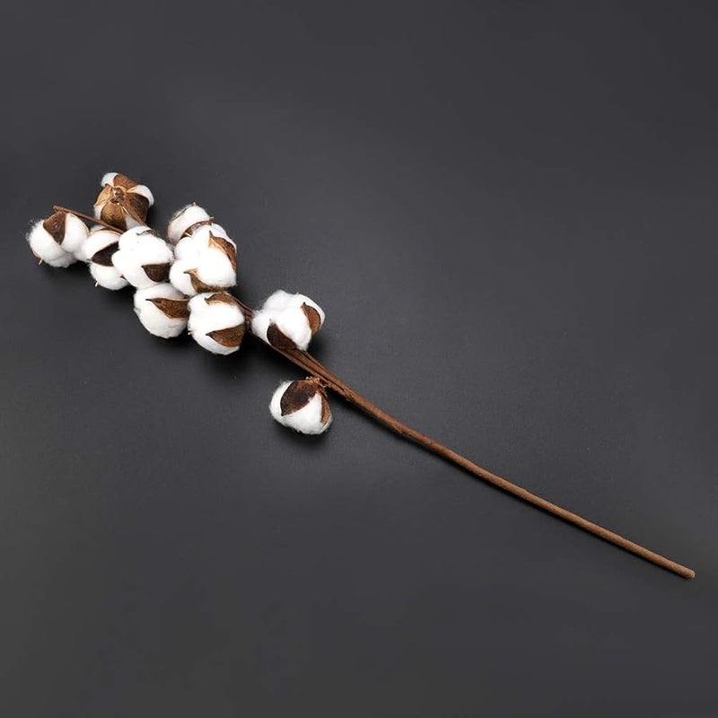3 Pcs Cotton Boll Stems 10 Bolls Each 60cm Dried Flowers Wedding Home Decor - Image 3