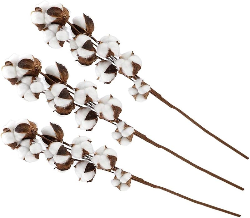 3 Pcs Cotton Boll Stems 10 Bolls Each 60cm Dried Flowers Wedding Home Decor - Image 1
