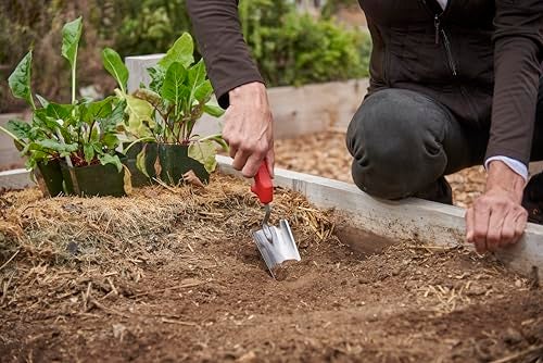Corona CT 3314 Premium Stainless Steel ComfortGEL Garden Trowel, 13.5" Overall Length, Handle Length 7", Red - Image 5