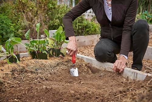 Corona CT 3314 Premium Stainless Steel ComfortGEL Garden Trowel, 13.5" Overall Length, Handle Length 7", Red - Image 2