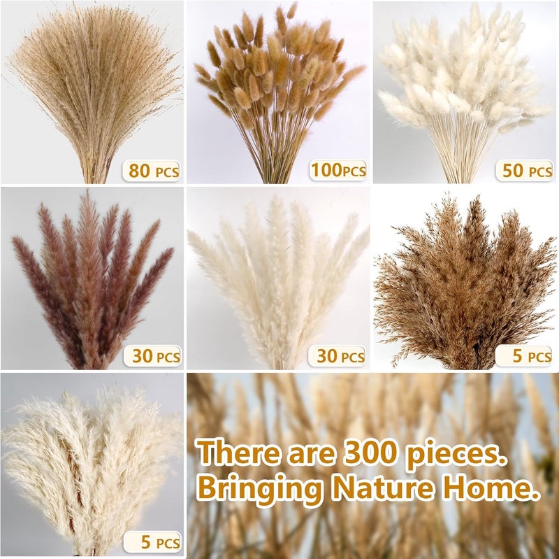 CKBT 300 PCS Dried Pampas Grass Decor, Dried Flower Bouquets for Wedding, Home, Centerpiece Table, Modern Home, Western Living Room, Nurserie, Nursery, Boho Room, Beach, Women Office, and Boho Decor - Image 2