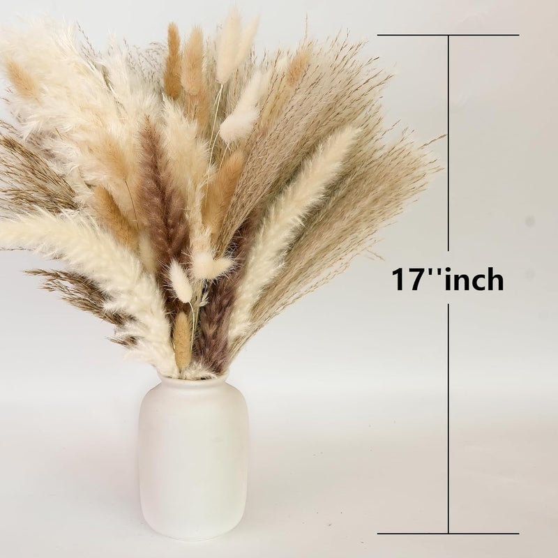 CKBT 300 PCS Dried Pampas Grass Decor, Dried Flower Bouquets for Wedding, Home, Centerpiece Table, Modern Home, Western Living Room, Nurserie, Nursery, Boho Room, Beach, Women Office, and Boho Decor - Image 4