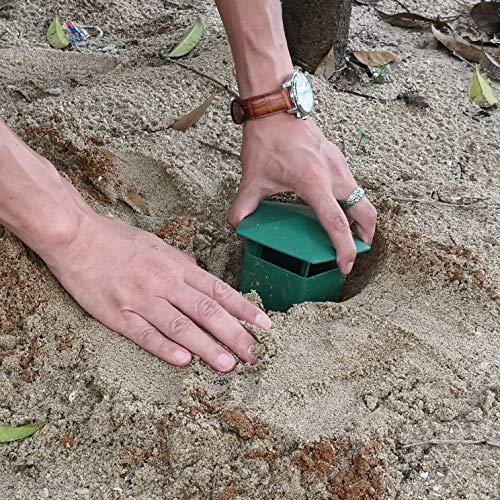 Beslands 5 Pcs Plastic Box 3.9" x 2.4" x 2.8" (Green) - Image 5