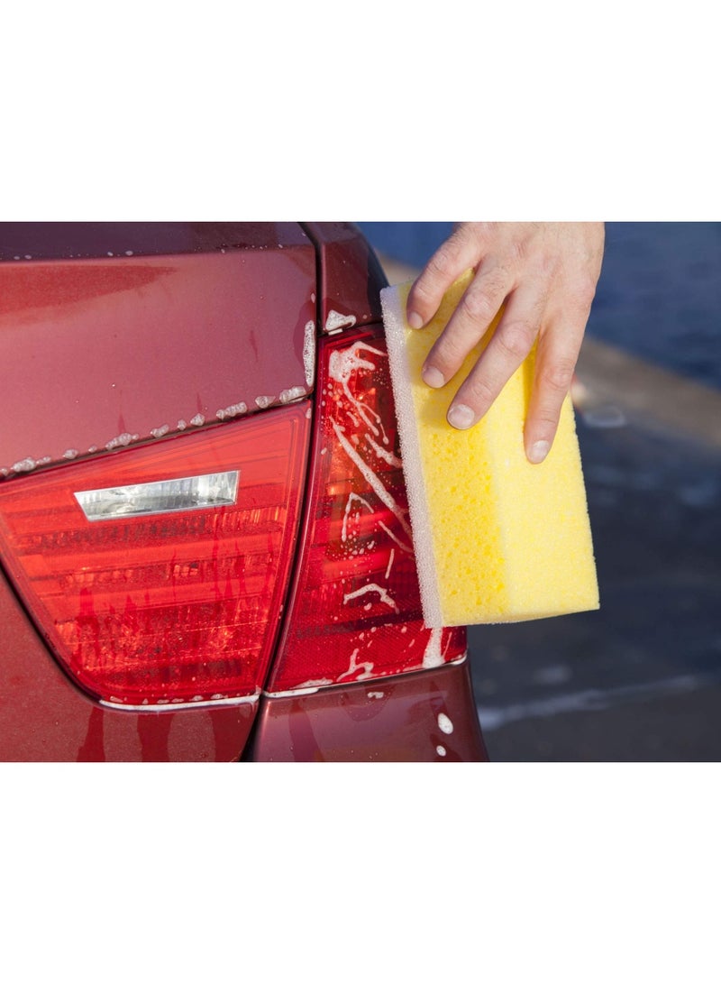 YORK Double Sided Sponge - Image 3