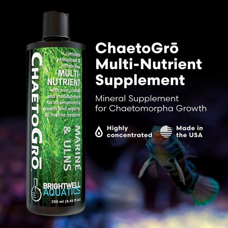 Brightwell Aquatics - ChaetoGro - Algae Nutrient Supplement for Chaetomorpha Growth in All Marine Fish Tanks - Multi-Nutrient Aquarium Water Treatments, 8.45 fl oz - Image 2