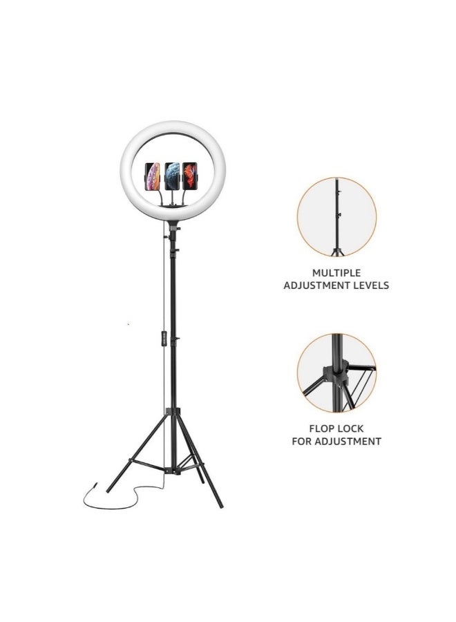 أكاليكس مصباح حلقي LED (14 بوصة) مع حامل ثلاثي القوائم وحامل ثلاثي القوائم صغير ووضعين لدرجة الحرارة - Image 3